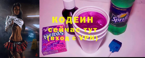 шишки Нязепетровск
