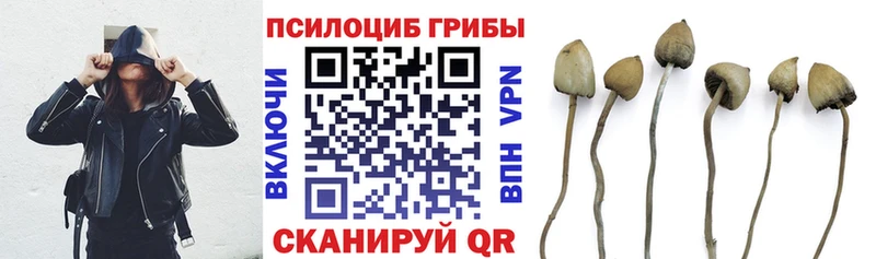 Псилоцибиновые грибы Magic Shrooms  Кореновск 